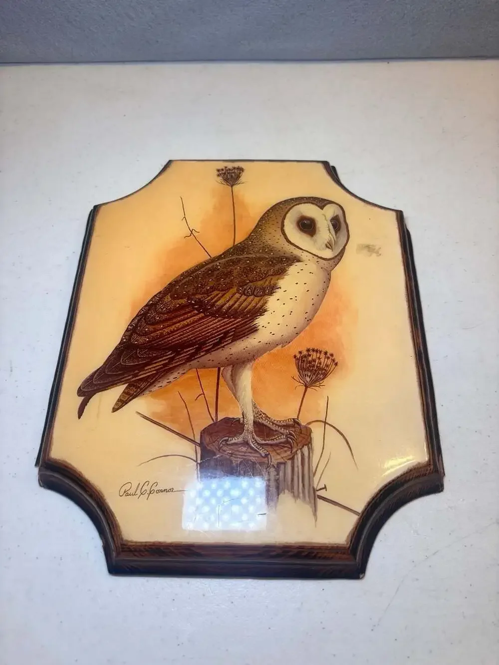 Charlie's Crafts Vintage Barn Owl Wood Wall Art Plaque Decoupage Paul C. Connor